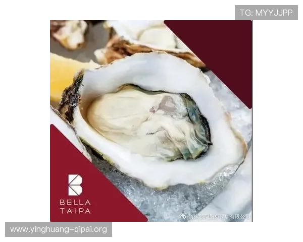 澳门角子机区最新优惠活动与优惠券领取指南让你玩得尽兴赚得更多 澳门角子机区最新优惠活动与优惠券领取指南让你玩得尽兴赚得更多